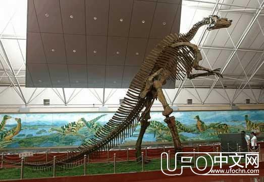 神秘生物出现面前，与它打招呼的人是怎么逃出来的442 / 作者:念小秋 / 帖子ID:24083