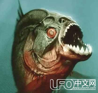 神秘生物出现面前，与它打招呼的人是怎么逃出来的721 / 作者:念小秋 / 帖子ID:24083