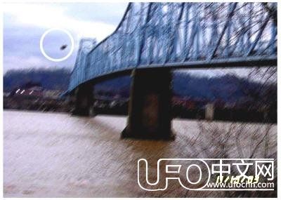 据说灾难来临之前，它会来到你身边：恐怖天鹅人的传说960 / 作者:lovelingever / 帖子ID:24084
