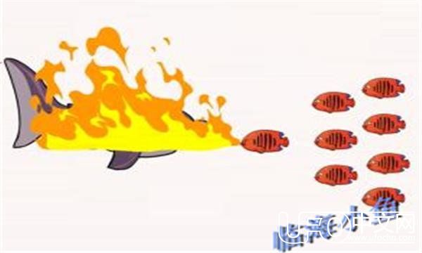 世界之大母猪都会上树，但你在海底见过鱼喷火吗？——喷火鱼925 / 作者:admin / 帖子ID:24091