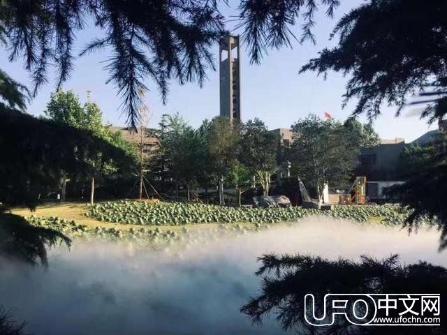 神秘事件？儿童节校园惊现大片瓜田，吸引众多吃瓜群众围观！394 / 作者:佐助 / 帖子ID:24120