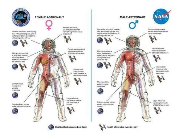 如果我们在宇宙中不穿宇航服会发生什么呢？476 / 作者:丶果果 / 帖子ID:24143