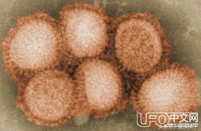 英国物理学家霍金预测世界可以结束的4种方式，哪一种离我们很近809 / 作者:秋雨飘零 / 帖子ID:24219
