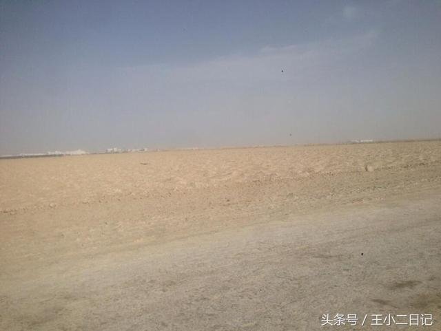 罗布泊，不是你想来就来……135 / 作者:揭秘者 / 帖子ID:24245