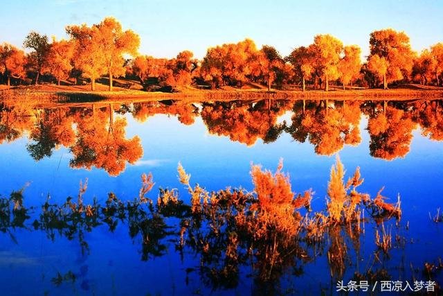 丝绸之路上的最后一滴眼泪，据说罗布泊的干涸和她有关系44 / 作者:丶果果 / 帖子ID:24249