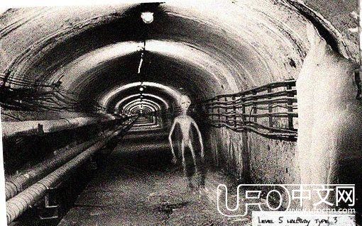 建造外星人地底基地的工程师被人暗杀之前揭露了他所看到的一切！274 / 作者:伤风学长 / 帖子ID:24277