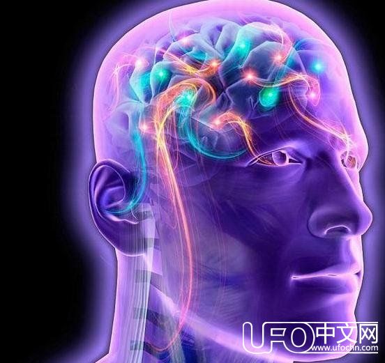 人的大脑是数字计算机吗？115 / 作者:另リ問 / 帖子ID:24468