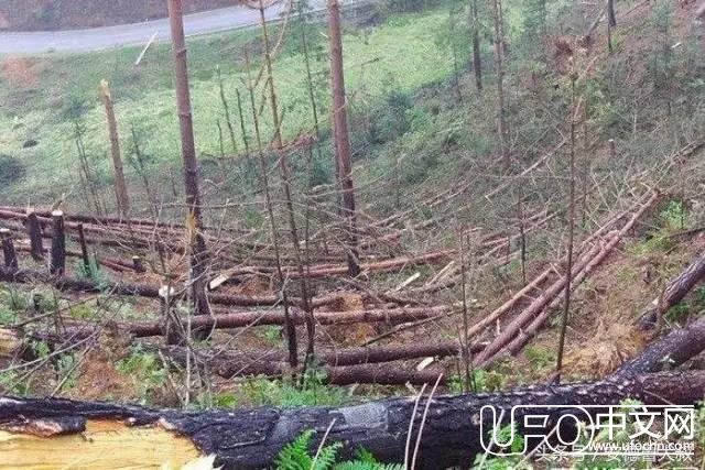 一九九四年贵阳出现“UFO”、今天贵州又收到了外星人信号259 / 作者:niubigg / 帖子ID:24473