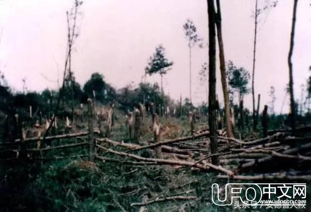 一九九四年贵阳出现“UFO”、今天贵州又收到了外星人信号54 / 作者:niubigg / 帖子ID:24473