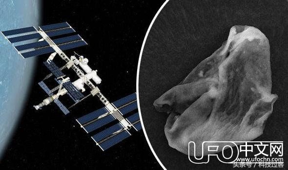 ISS表面发现外星生命，数世纪猜测或尘埃落定！15 / 作者:泣天使 / 帖子ID:24499