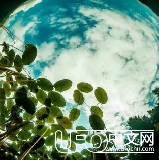假如宇宙中的我们不只是物质的组成242 / 作者:niubigg / 帖子ID:24532