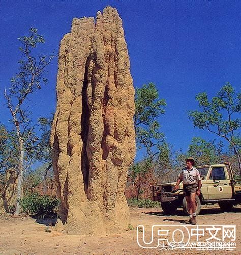 世界十大未解之谜！（第二季）539 / 作者:○o涅槃旋舞o / 帖子ID:24544