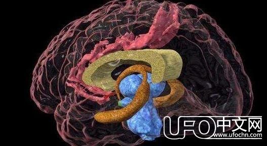 为什么人类看见某些东西就能记住，原因在这里899 / 作者:UFO中文网 / 帖子ID:24552