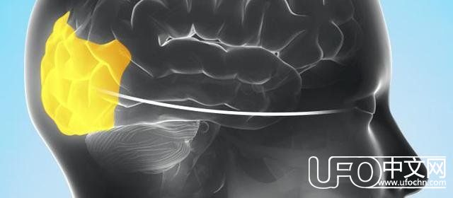 为什么人类看见某些东西就能记住，原因在这里735 / 作者:UFO中文网 / 帖子ID:24552