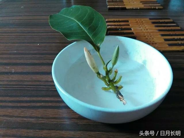 宇宙阴阳的界定154 / 作者:○o涅槃旋舞o / 帖子ID:24578