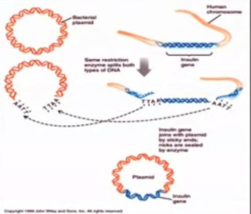 外星人的存在是必然 那么他们的模样会是人类的加强版吗826 / 作者:宇宙天使 / 帖子ID:24587