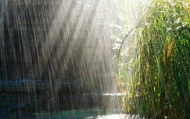 NASA：地球雨量增速超科学家预期167 / 作者:zmh197601 / 帖子ID:24639
