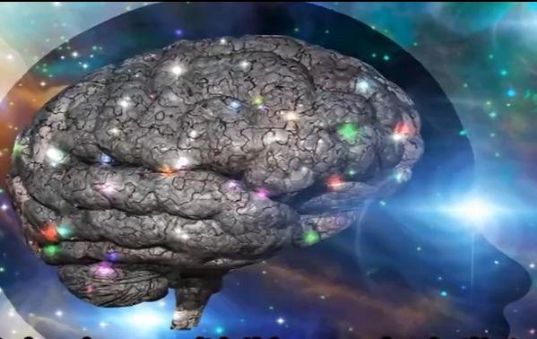 人类进化中的七个步骤，10万年后人类会变成什么样子？779 / 作者:爱是我信仰 / 帖子ID:24699