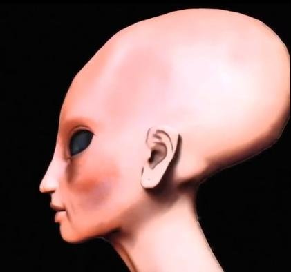人类进化中的七个步骤，10万年后人类会变成什么样子？146 / 作者:爱是我信仰 / 帖子ID:24699