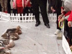 一个神秘包裹引发的平行宇宙理论841 / 作者:一直感兴趣 / 帖子ID:24759