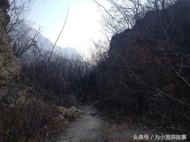 幽怪谷其中有个村庄封门村封门决户之意172 / 作者:漫随 / 帖子ID:24860