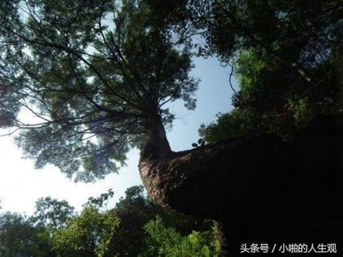 99%的人不敢去中国15个最邪门的地方 你敢去看看吗？542 / 作者:山东老妖 / 帖子ID:24866