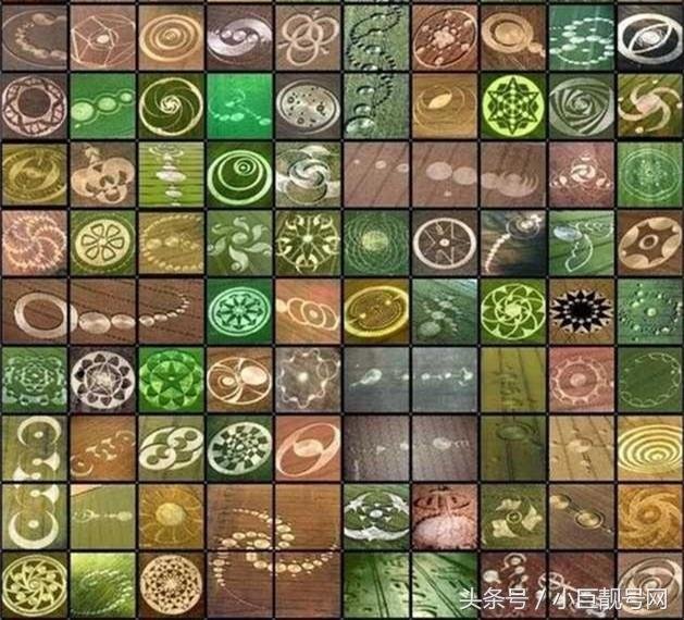 英国出现外星人传递信息的怪圈，这是对地球生命的警告吗？128 / 作者:山东老妖 / 帖子ID:24892