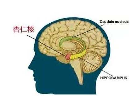 如果人工智能机器人有了人类的情感314 / 作者:qq1023234136 / 帖子ID:24939