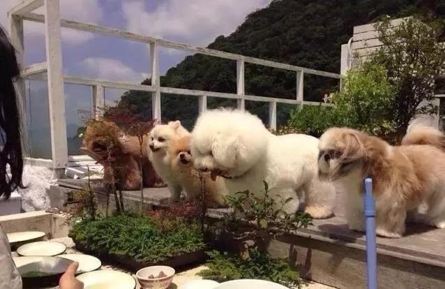 我们出生时就拥有庄子的智慧丨文茜×杨定一238 / 作者:admin / 帖子ID:25024