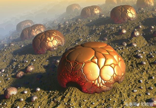 外星生物可能不需要行星生存及进化638 / 作者:one / 帖子ID:25025