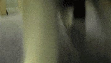 中国量子卫星打破世界纪录，为啥美国总统躺枪？877 / 作者:admin / 帖子ID:25097