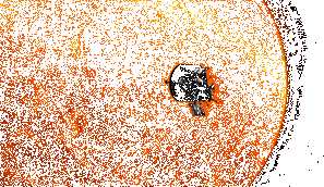 靠近太阳表面运行，超水星10倍距离接近太阳！NASA明年发射20 / 作者:admin / 帖子ID:25175