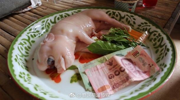 泰国怪胎小猪像外星人 居民纷纷上香求彩票86 / 作者:上校 / 帖子ID:25256