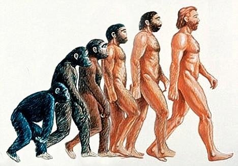 总有人怀疑进化论，它真的不科学吗？人类的产生依靠了什么484 / 作者:静风 / 帖子ID:25265