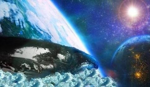 关于宇宙的八大秘闻，你一定不知道！672 / 作者:hhak003 / 帖子ID:25286