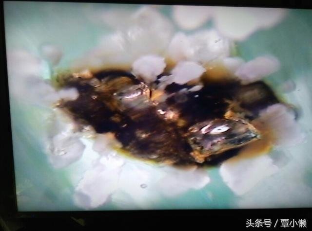 地球究竟是如何形成的：看完这个故事你就明白了！416 / 作者:u3203186 / 帖子ID:25328