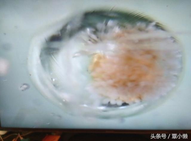地球究竟是如何形成的：看完这个故事你就明白了！229 / 作者:u3203186 / 帖子ID:25328