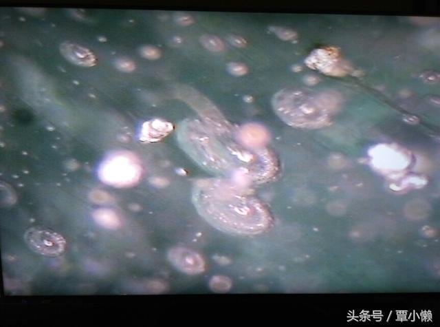 地球究竟是如何形成的：看完这个故事你就明白了！474 / 作者:u3203186 / 帖子ID:25328