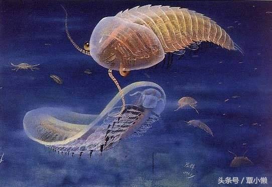 地球究竟是如何形成的：看完这个故事你就明白了！517 / 作者:u3203186 / 帖子ID:25328