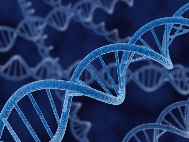 物理学家首次看到了把我们大部分宇宙保持在一起的纽带293 / 作者:复古的仙人掌 / 帖子ID:25371