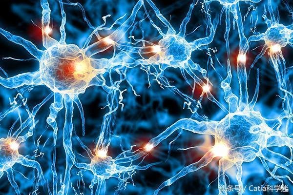 人死亡之后意识会去哪里？科学家认为或到达高纬度外星世界92 / 作者:admin / 帖子ID:25395