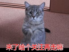 科大讯飞：人工智能第一龙头从68跌至25元，今超跌反弹，股民：持股待涨还是赶紧出逃？960 / 作者:admin / 帖子ID:25433