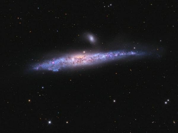 人类历史上最明亮的一颗超新星710 / 作者:admin / 帖子ID:25476