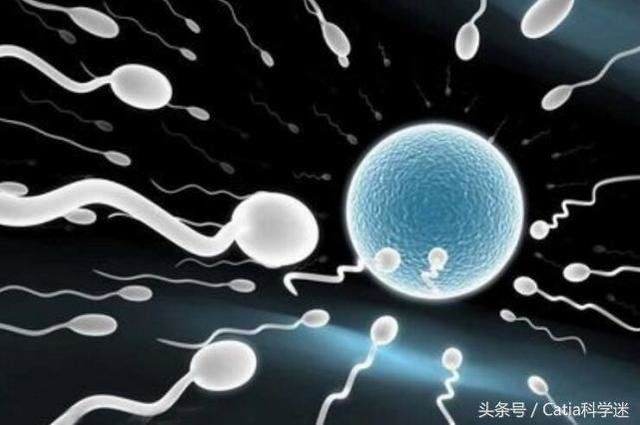地球生命并非来自地球 科学家为什么这样说？265 / 作者:admin / 帖子ID:25480