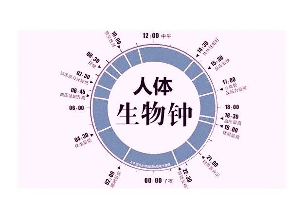 探访有趣的生物钟现象，就连微小的细菌也知道时间962 / 作者:admin / 帖子ID:25536