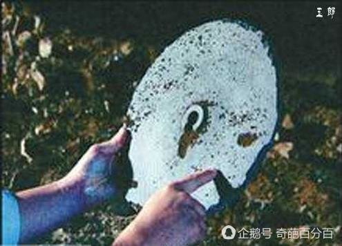 中国10大未解之谜883 / 作者:admin / 帖子ID:25543
