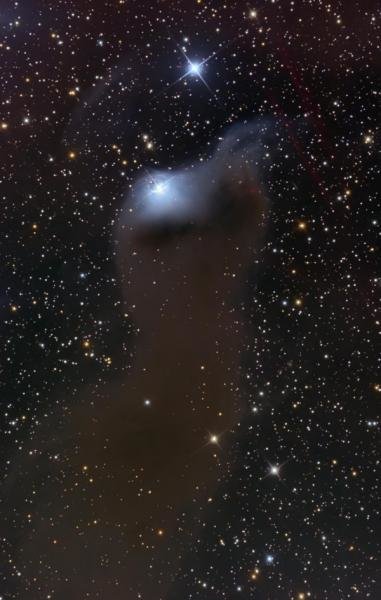 旋涡星系NGC1097的中心发生了什么事情？493 / 作者:admin / 帖子ID:25710