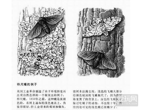 面对外星文明，“我能反杀”是人类的错觉吗？641 / 作者:○o涅槃旋舞o / 帖子ID:25835