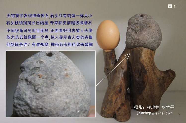 伟大的发现 需要好奇心和想象力589 / 作者:steco / 帖子ID:22164