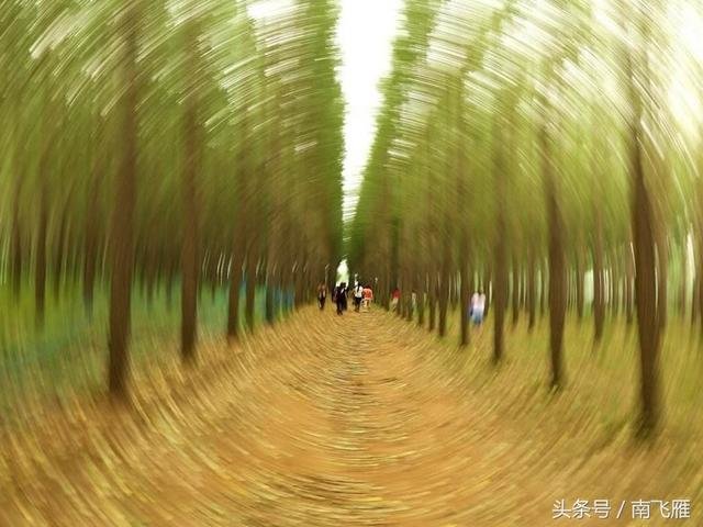 史蒂芬霍金列举的三种时空旅行方法！你的觉得哪种最有可能实现？558 / 作者:admin / 帖子ID:25948